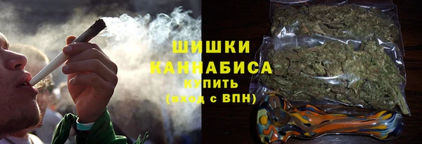мет Бородино