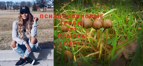 PSILOCYBIN Верхнеуральск