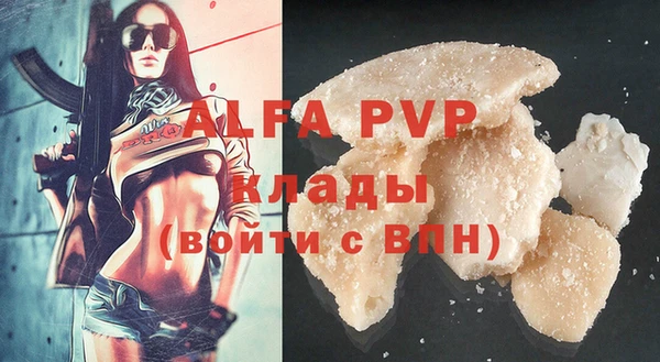 гашик Белокуриха