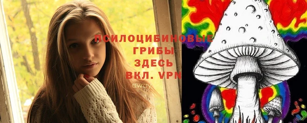 мет Бородино